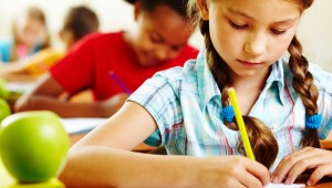 2. Sınıfta Neler Var?